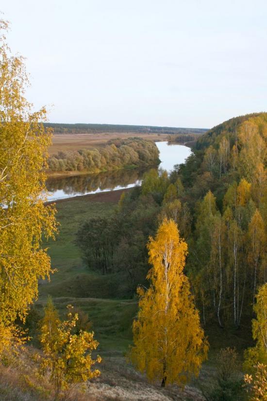 Радичів з panoramio.com - Радичев