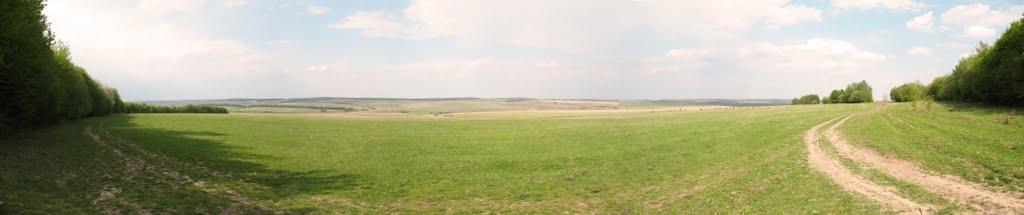 Давидківці з panoramio.com - Давыдковцы