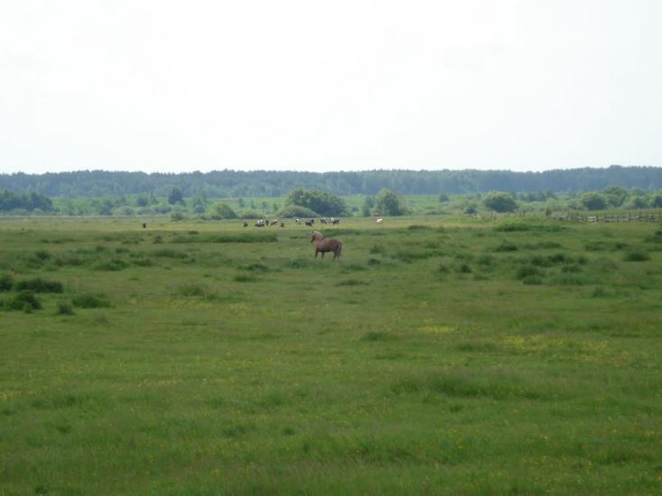 Жобрин з panoramio.com - Жобрин