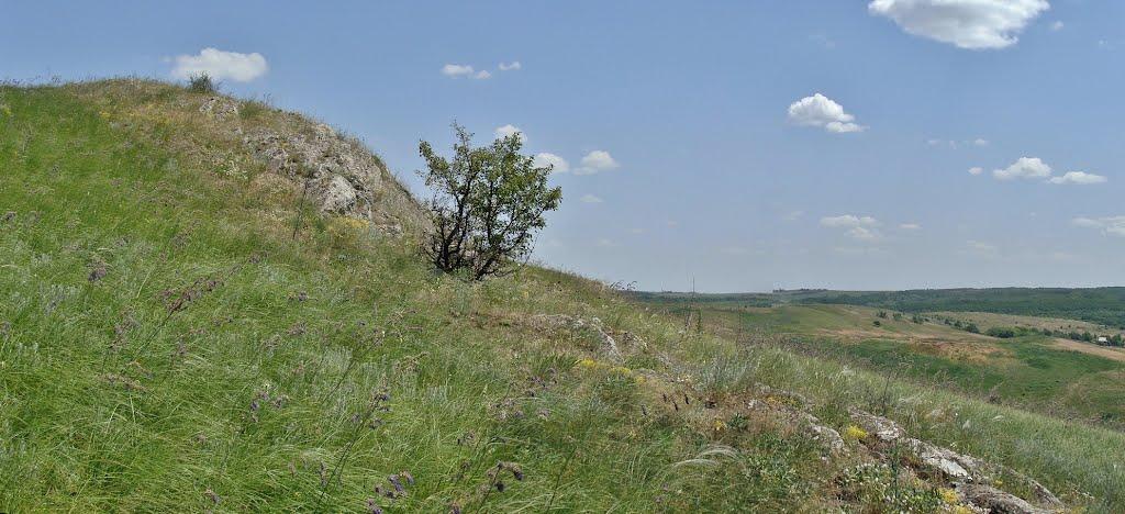 Русько-Орлівка з panoramio.com - Русско-Орловка