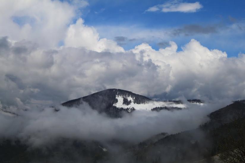Вільховатий з panoramio.com - Вільховатий