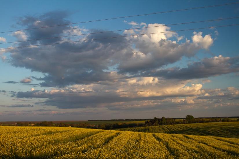 Копачівка з panoramio.com - Копачевка