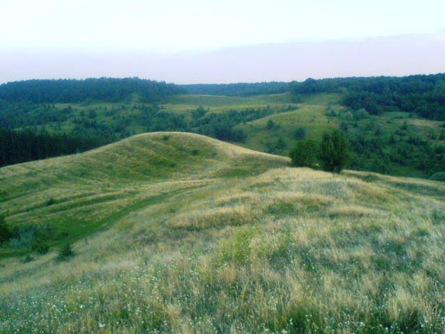 Великі Будища з panoramio.com - Великие Будища