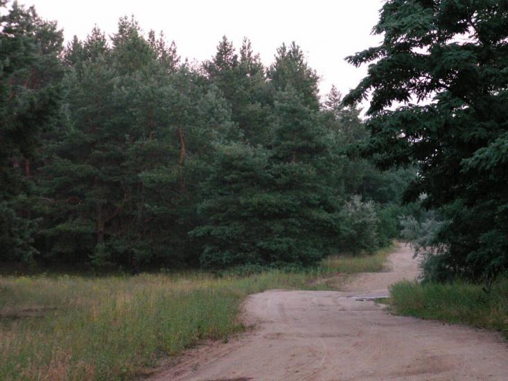 Баловне з panoramio.com - Баловное