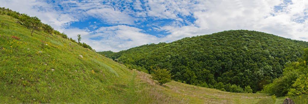 Китайгород з panoramio.com - Китайгород