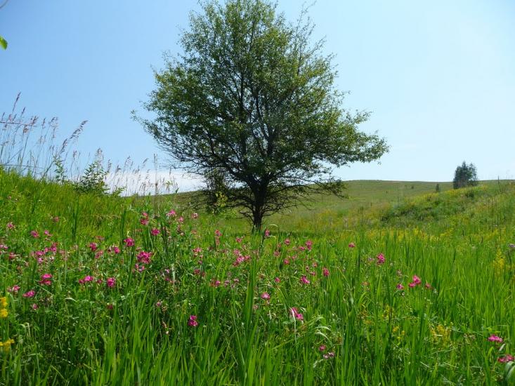 Балико-Щучинка з panoramio.com - Балыко-Щучинка