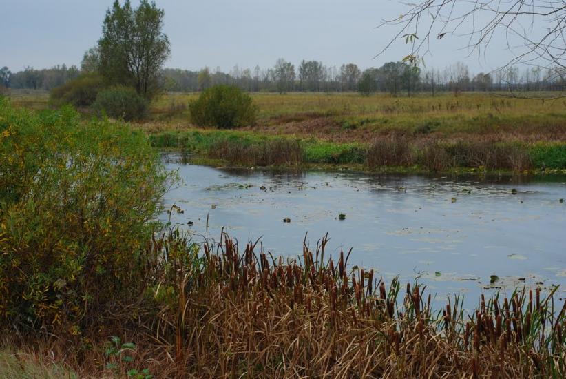 Остапівка з panoramio.com - Остаповка