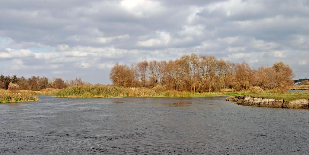 Задонецьке з panoramio.com - Zadonetske