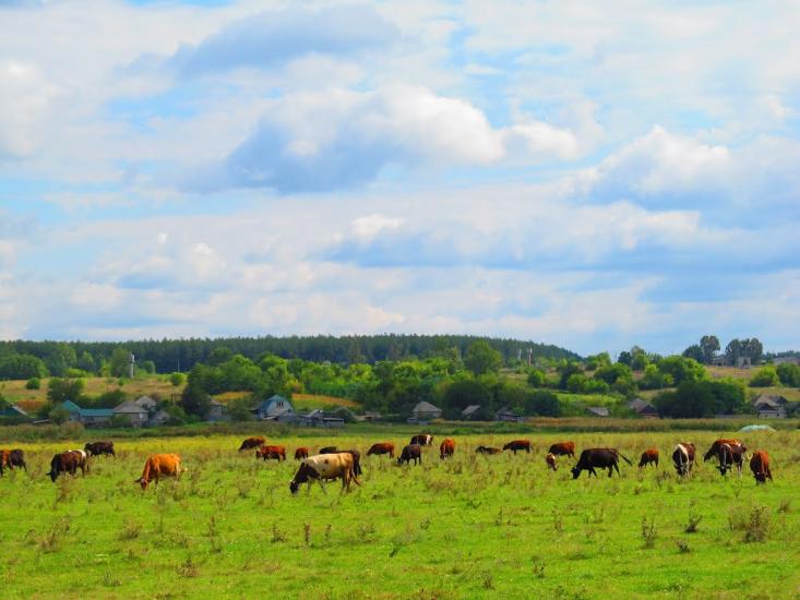 Торське з panoramio.com - Торське