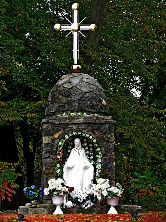 Вишня з panoramio.com - Вишня