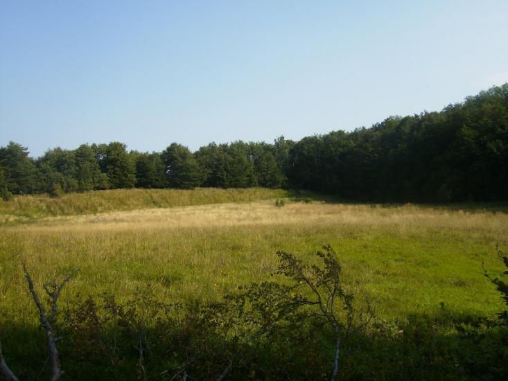 Анталовці з panoramio.com - Анталовцы