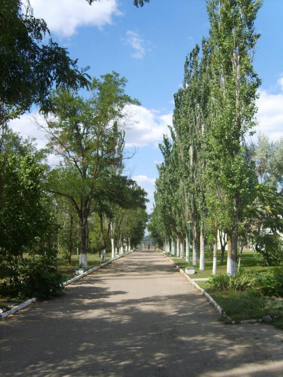 Чорноморка з panoramio.com - Чорноморка