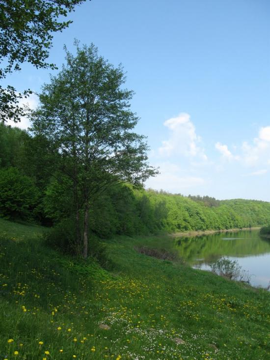 Губків з panoramio.com - Губків