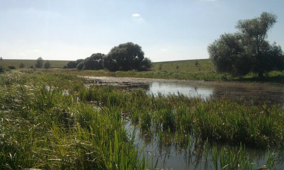 Косяківка з panoramio.com - Косяківка