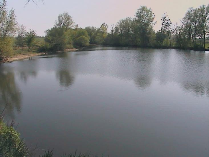 Кошляки з panoramio.com - Кошляки