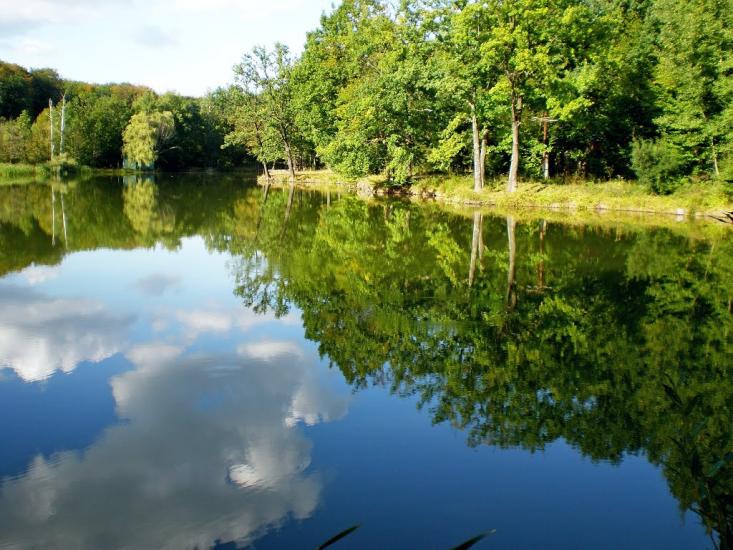 Старі Бросківці з panoramio.com - Stari Broskivtsi