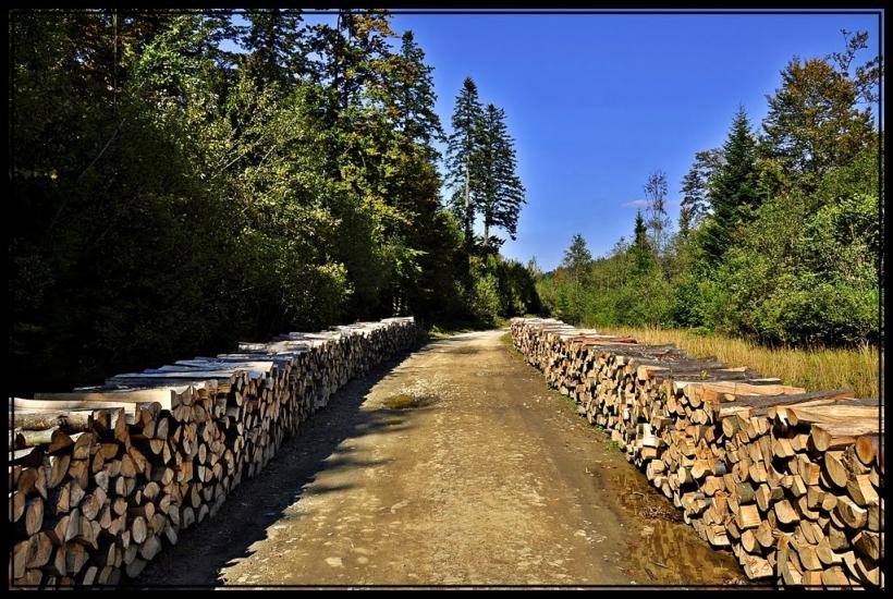 Сянки з panoramio.com - Сянки