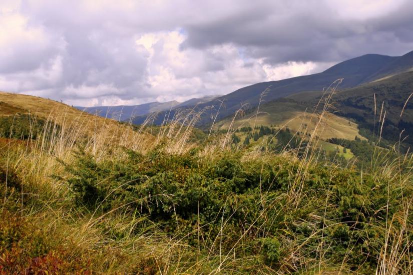Білин з panoramio.com - Білин
