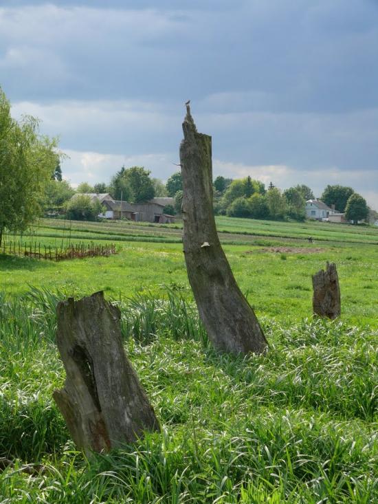 Плоске з panoramio.com - Плоске