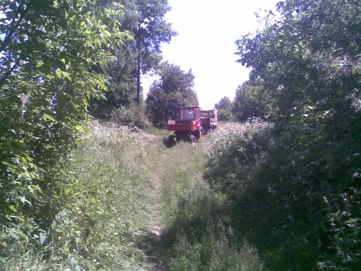 Звеничів з panoramio.com - Звеничів