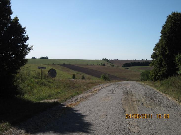 Галузинці з panoramio.com - Галузинцы