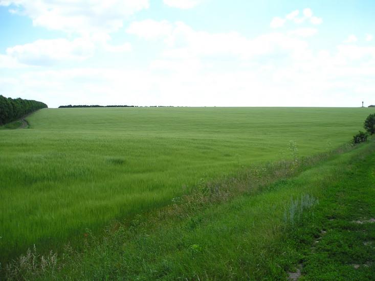 Журівка з panoramio.com - Журівка