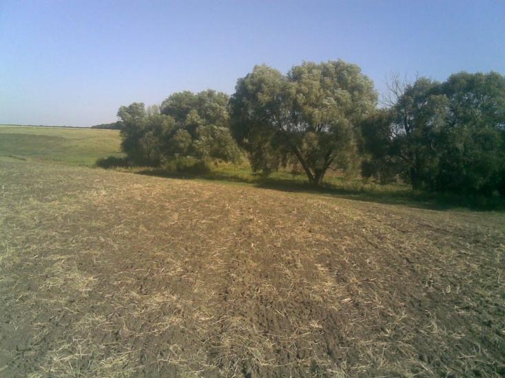 Косяківка з panoramio.com - Косяковка