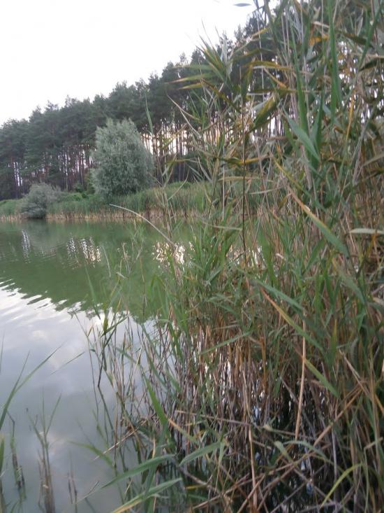 Снігурівка з panoramio.com - Снігурівка