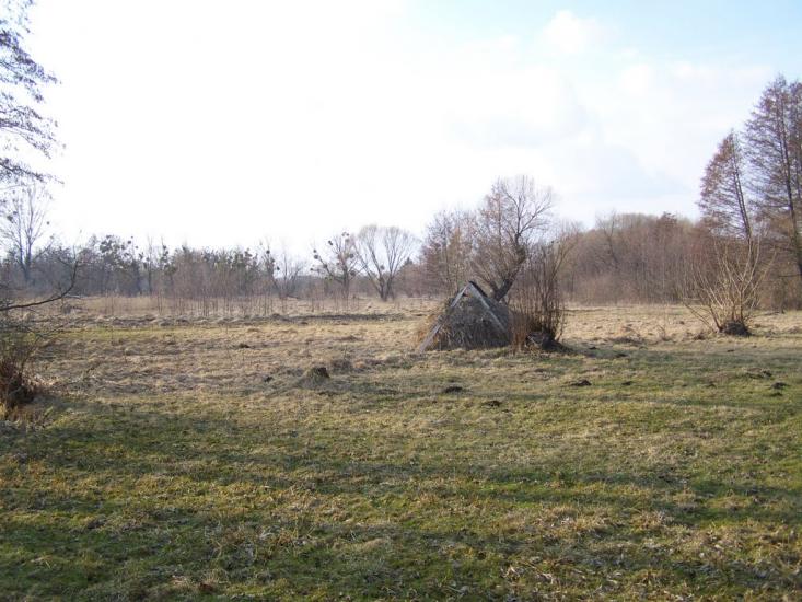 Синява з panoramio.com - Synyava