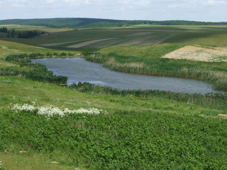 Могилівка з panoramio.com - Могилевка