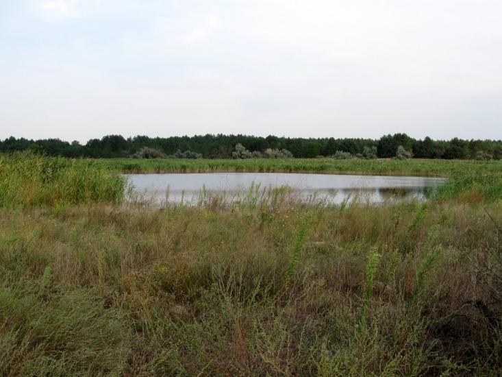 Раденськ з panoramio.com - Radensk