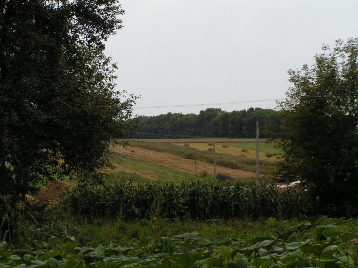 Остапівка з panoramio.com - Остаповка
