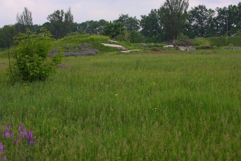 Радянська Україна з panoramio.com - Пригородное