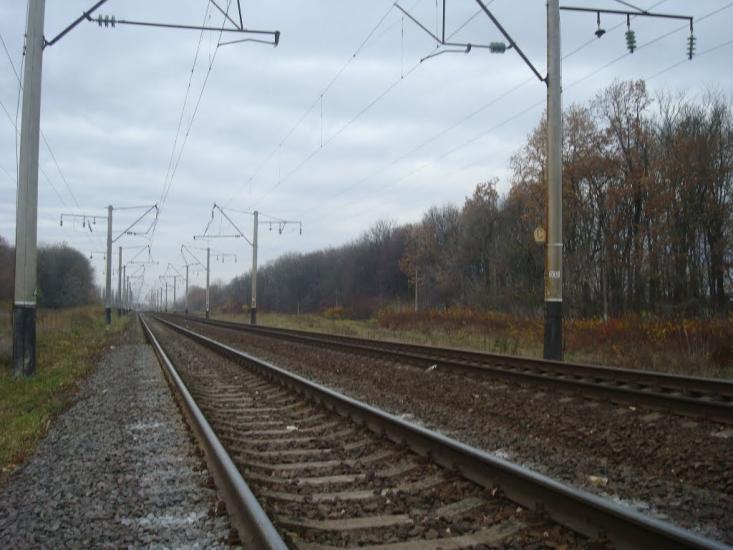 Копачівка з panoramio.com - Копачівка