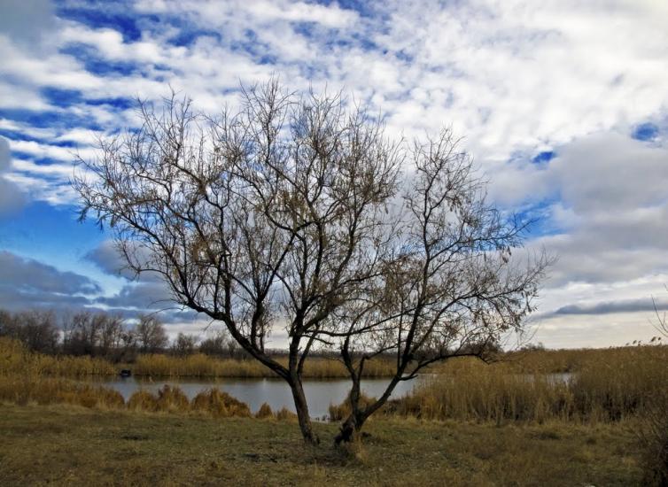 Дніпровка з panoramio.com - Дніпровка