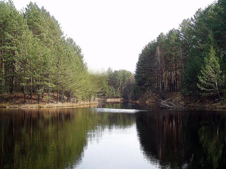 Космачів з panoramio.com - Космачів