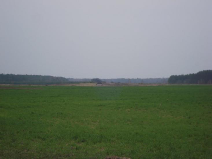 Ниговищі з panoramio.com - Ниговищи
