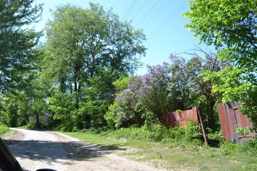 Меленці з panoramio.com - Меленцы