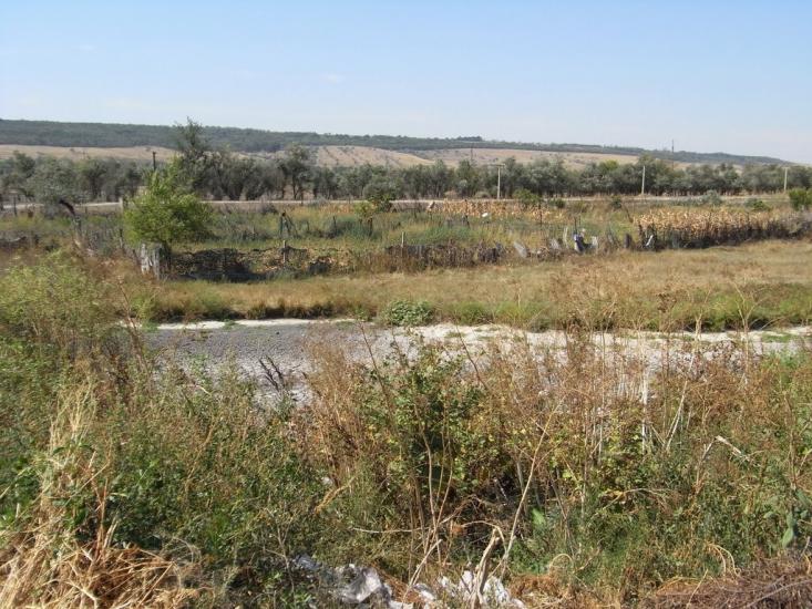 Березине з panoramio.com - Березино