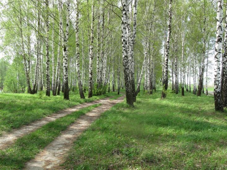 Борзна з panoramio.com - Борзна
