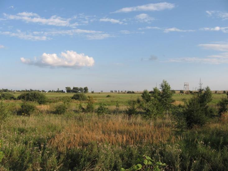Пляшева з panoramio.com - Пляшева