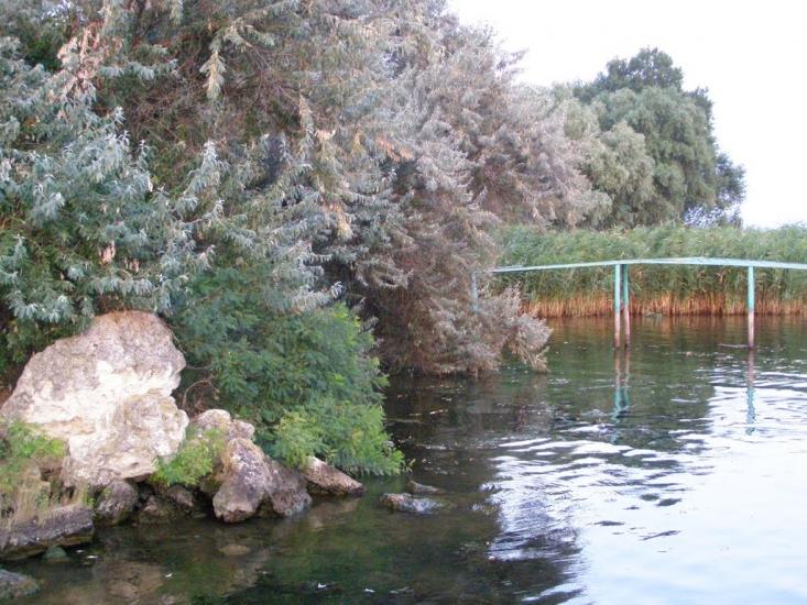Кардашинка з panoramio.com - Кардашинка