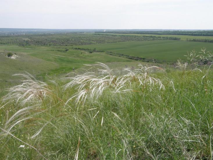 Георгіївка з panoramio.com - Георгіївка