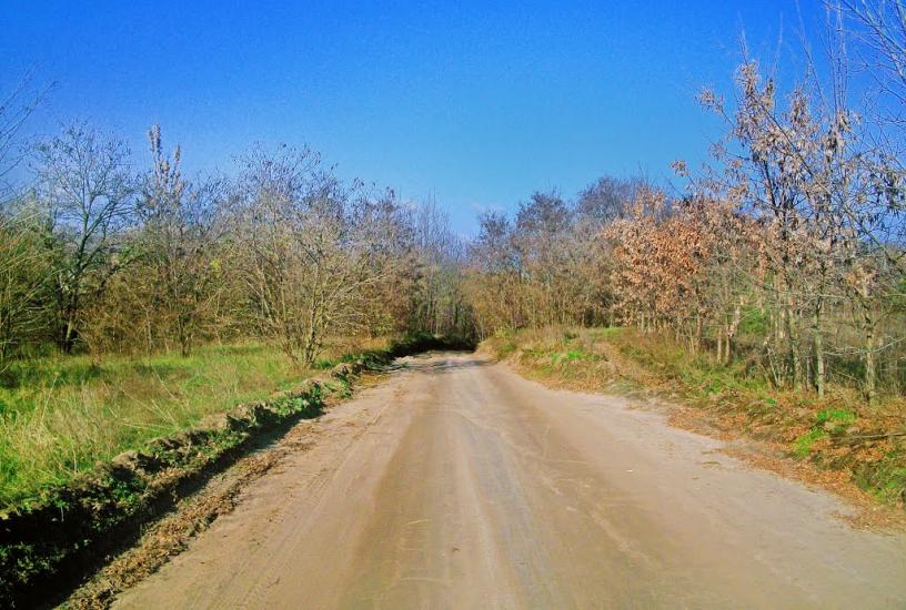 Калинівка з panoramio.com - Калинівка