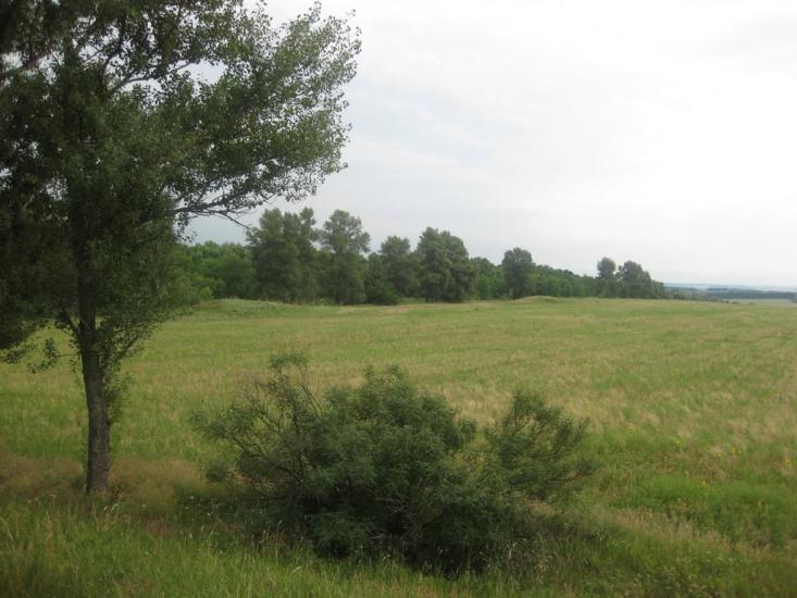 Садки з panoramio.com - Садки