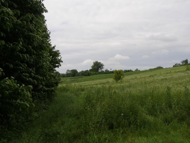 Петро-Марківка з panoramio.com - Петро-Марківка