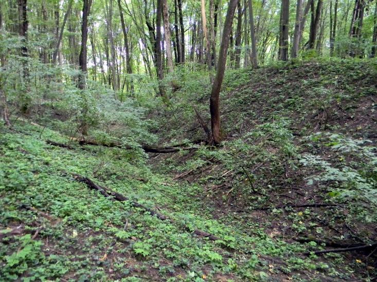 Кринцілів з panoramio.com - Кринцілів