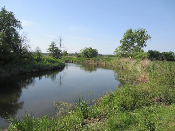 Волокитине з panoramio.com - Волокитине