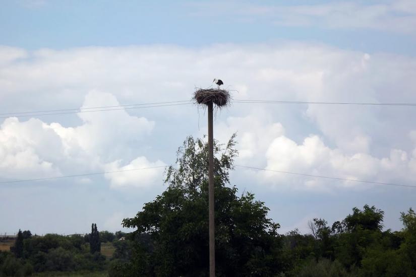 Андріївка з panoramio.com - Андреевка