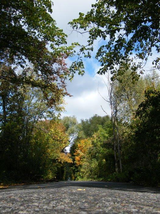 Бурківка з panoramio.com - Burkivka